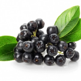 temnoplodec - Aronia